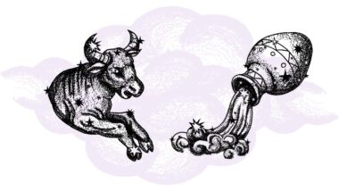 Byk i Wodnik - kompatybilność w horoskopie partnerskim