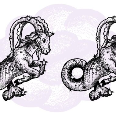 Koziorożec i Koziorożec - kompatybilność w horoskopie partnerskim