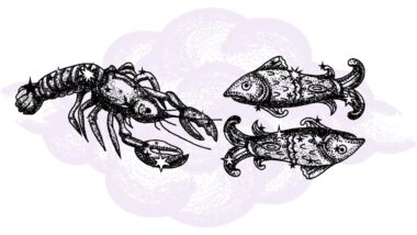 Rak i Ryby - kompatybilność w horoskopie partnerskim