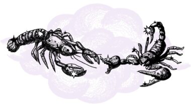 Rak i Skorpion - kompatybilność w horoskopie partnerskim